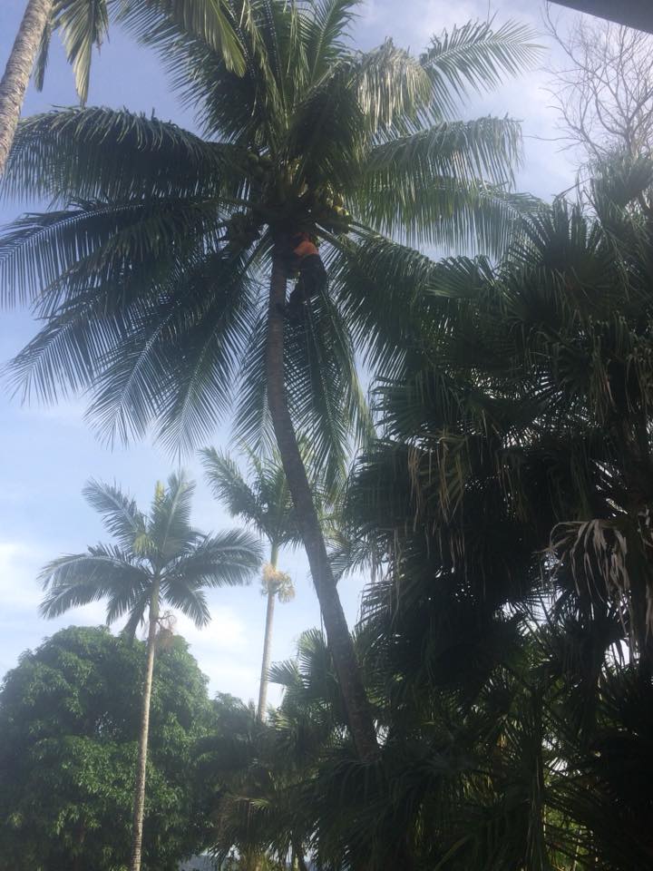 Hello FNQ!